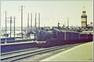 Newcastle 3524.jpg